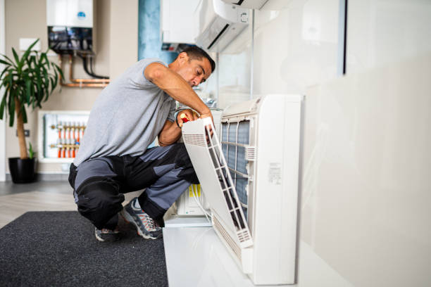 Best Air Vent Cleaning Services  in Flora, AL