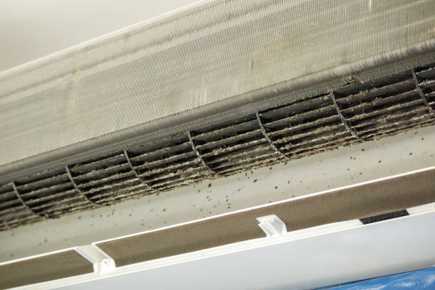 Best Local Air Duct Cleaning Services  in Flora, AL